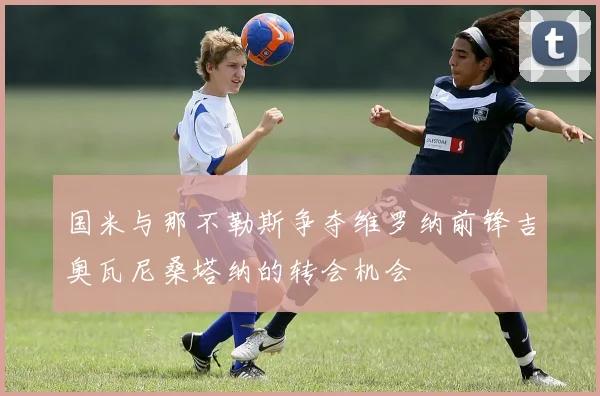 国米与那不勒斯争夺维罗纳前锋吉奥瓦尼桑塔纳的转会机会