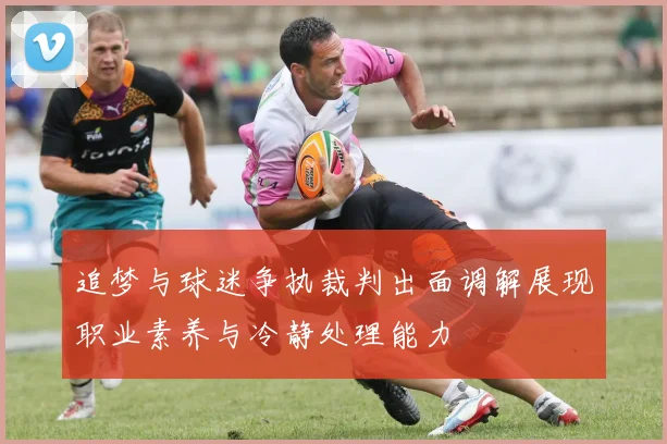 追梦与球迷争执裁判出面调解展现职业素养与冷静处理能力