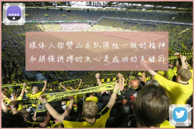 媒体人称赞山东队团结一致的精神和顽强拼搏的决心是成功的关键因素